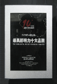2009年度安防行业十大最具影响力品牌